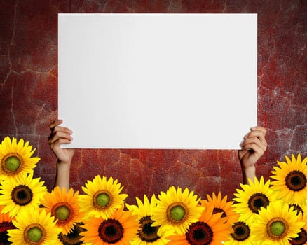 card with space for text and sunflowers