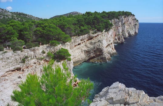 Sunny Adriatic, blue sea, blue sky, coast cliff and evergreen pine - Croatia 