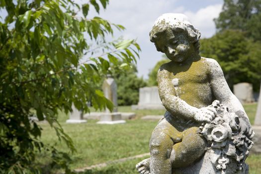 Graveyard scenic with cherub statue.