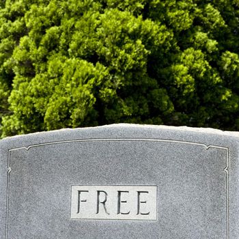Gravestone against trees with word "Free" on it.