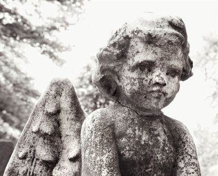 Close-up of cherub statue in graveyard.