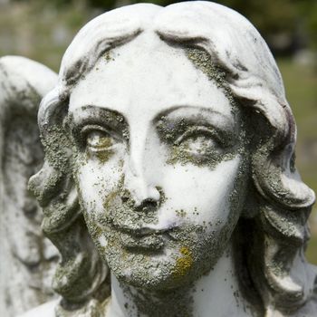 Close-up of Guardian Angel statue's face in graveyard.