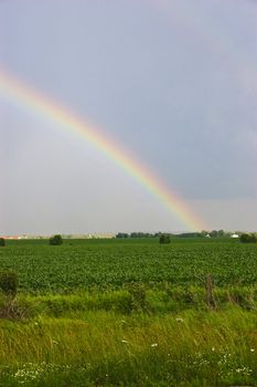 Rainbow over cultivated green farmland