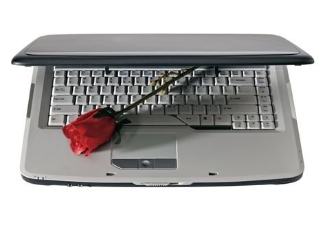 Modern laptop with red rose, isolated white