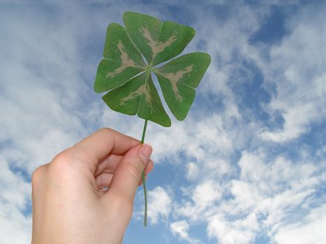 Green clover in female hand against blue sky