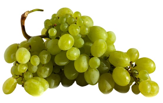Grapes