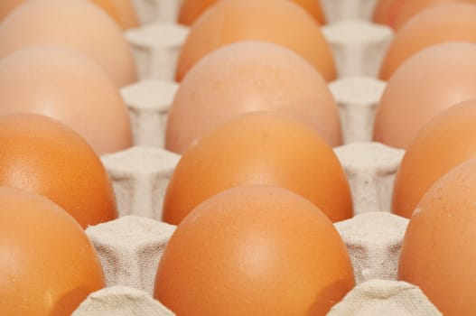 brown eggs in box