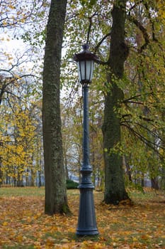Autumn Park