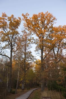 Autumn Park