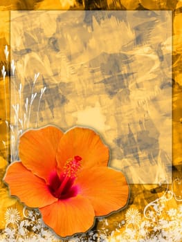 colorful anstract hibiscus background