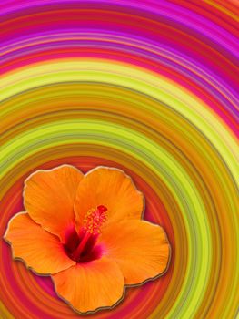 abstract hibiscus background in retro style