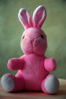 pink bunny background