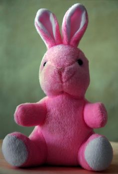pink bunny background
