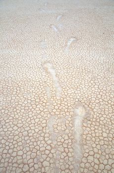 Racetrack Playa is a seasonally dry lake (a playa) located in the northern part of the Panamint Mountains in Death Valley National Park, California, U.S.A.. It is famous for 'sailing stones', rocks that mysteriously move across its surface.