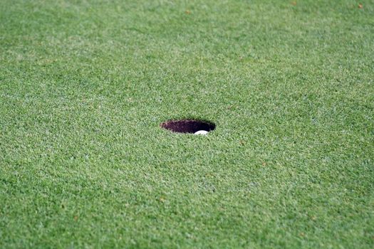 Golf ball falling in the green hole