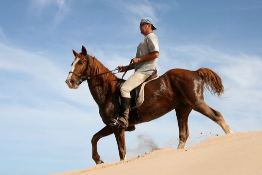 Brown horse and rider on a sand dune against blue sky