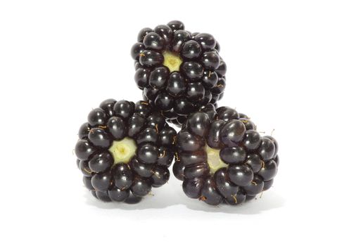 blackberry isolated on a white background