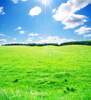 field on a background of the blue sky