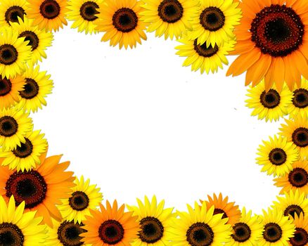 Sunflowers frame with place for you text