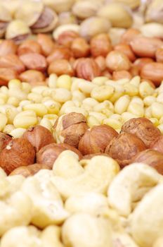 various nuts on a background