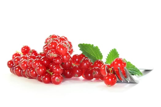 fresh red currants on a white background

