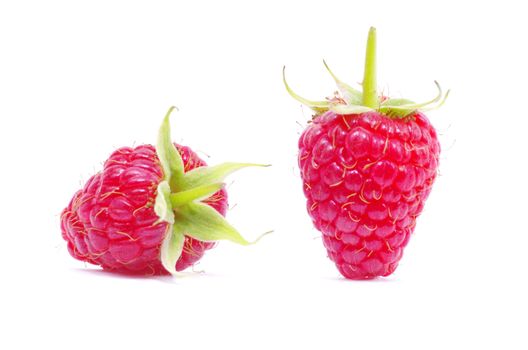 fresh raspberry closeup isolated on white background