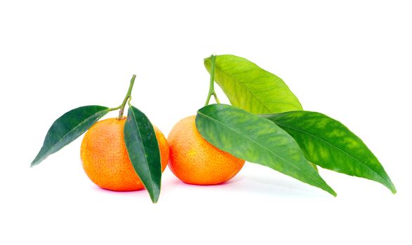 tangerine isolated on a white background