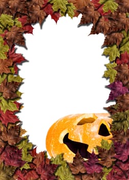 halloween pumpkins on white background with fall leaves frame