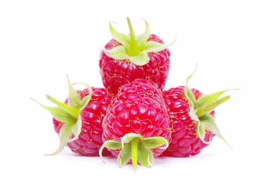 Ripe raspberry isolated on a white background