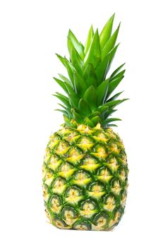 fresh pineapple isolated on the white background