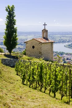 grand cru vineyard and Chapel of St. Christopher, L�Hermitage, Rhone-Alpes, France