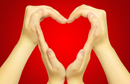 woman’s hands made in the form of heart