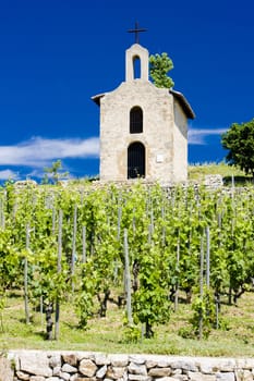 grand cru vineyard and Chapel of St. Christopher, L�Hermitage, Rhone-Alpes, France