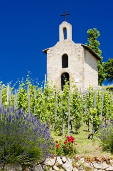 grand cru vineyard and Chapel of St. Christopher, L�Hermitage, Rhone-Alpes, France