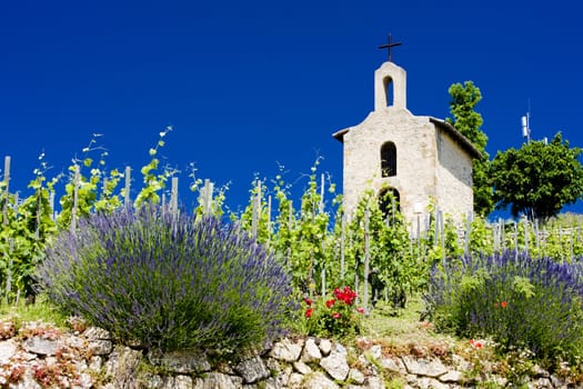 grand cru vineyard and Chapel of St. Christopher, L�Hermitage, Rhone-Alpes, France