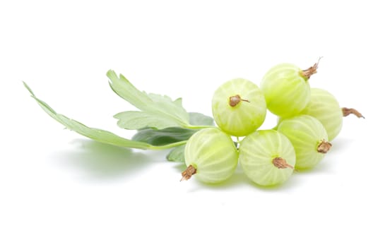 Green gooseberry fruit on white