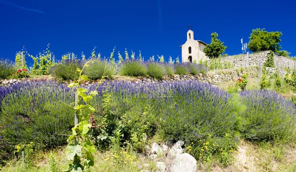 Chapel of St. Christopher, L�Hermitage, Rhone-Alpes, France