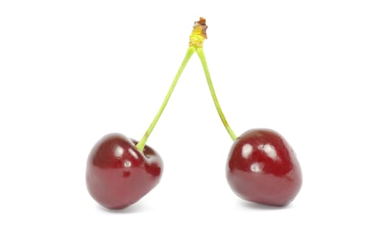 Two cherries against white background