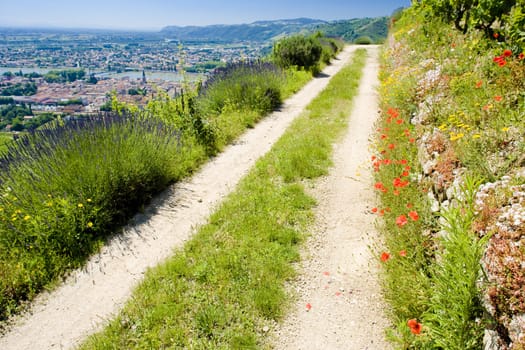 Tain-L�Hermitage, Rhone-Alpes, France