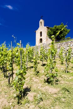 grand cru vineyard and Chapel of St. Christopher, L�Hermitage, Rhone-Alpes, France