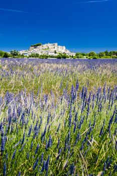 Grignan with lavender field, D�partement Drome, Rhone-Alpes, France