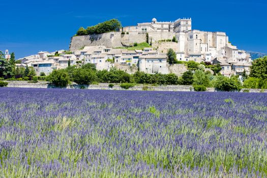 Grignan with lavender field, D�partement Drome, Rhone-Alpes, France