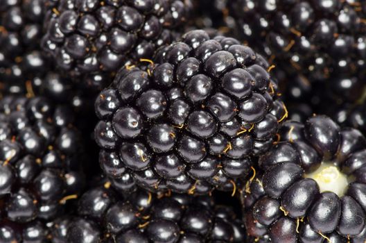 sweet blackberry berry closeup  background