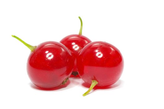 red currant isolated on a white background