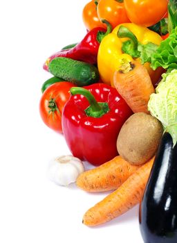 fresh vegetables on the white background