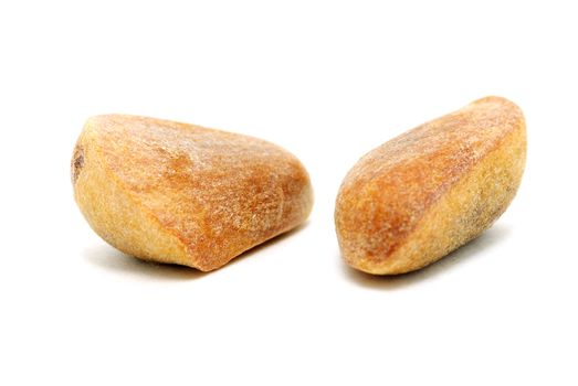 Brown cedar nuts fruit on white background