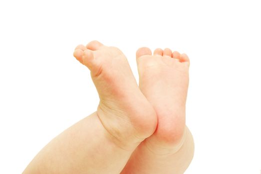 newborn baby feet  isolated on white