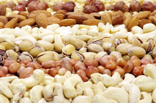 various nuts on a background