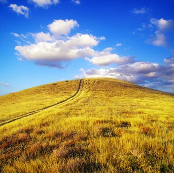  mountain meadow in nice day