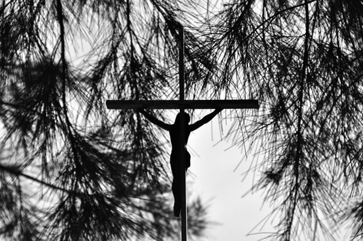 Jesus Christ on the cross silhouette with tree branches on the background.